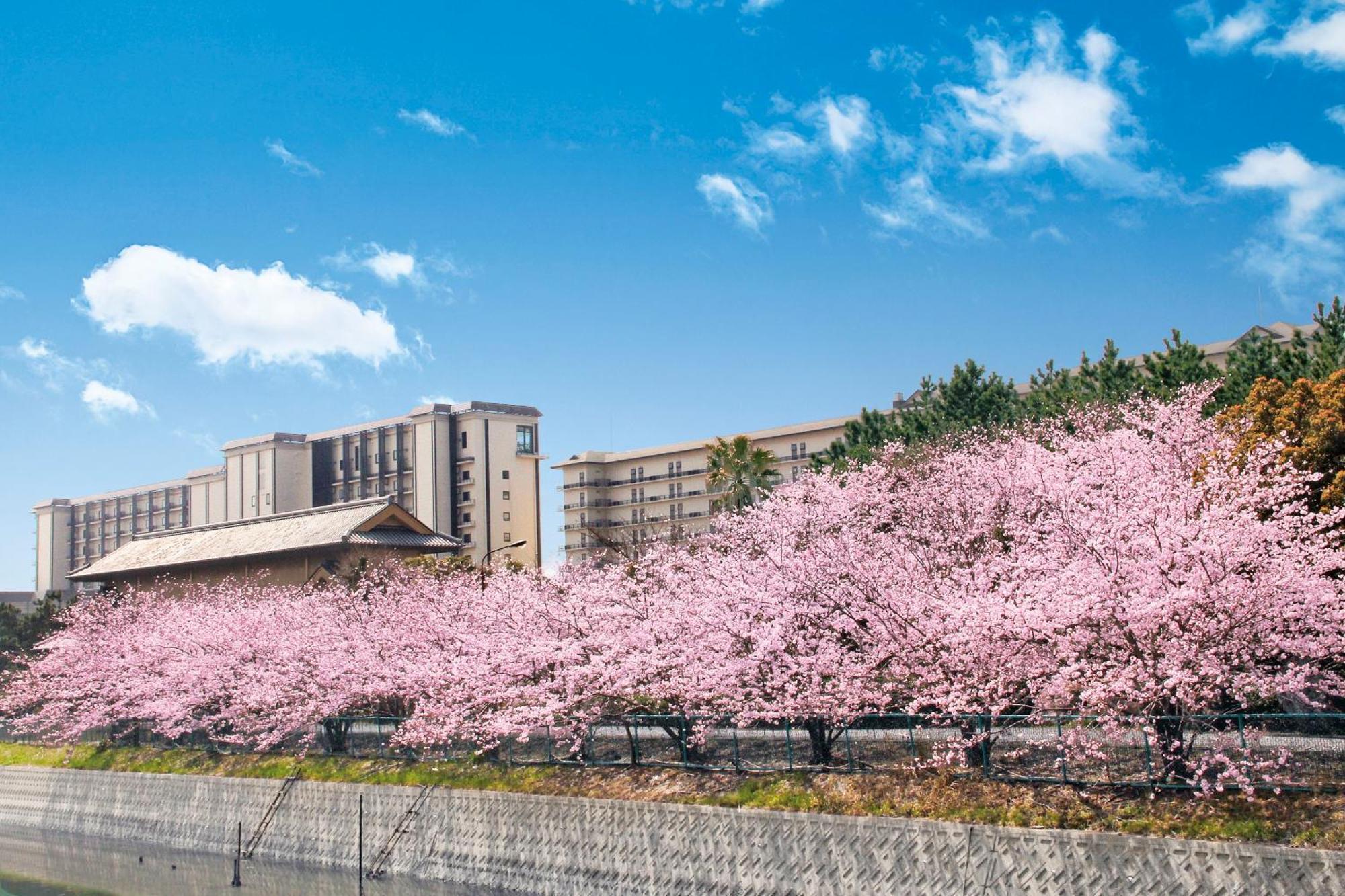 Ryugujo Spa Hotel Mikazuki Fujimitei كيسارازو المظهر الخارجي الصورة
